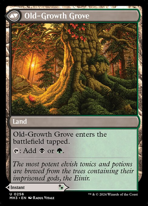 Revitalizing Repast // Old-Growth Grove - Back Face
