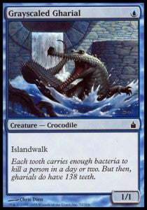 Grauschuppen-Gavial RAV-52 Common Excellent Englisch Foil