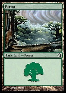 Forest H09-41 Land Light Played Englisch Foil