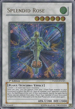 Famose Rose TSHD-DE043 Ultimate Rare Excellent Deutsch