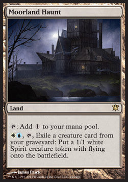Moorland Haunt ISD-244 Rare Excellent Englisch