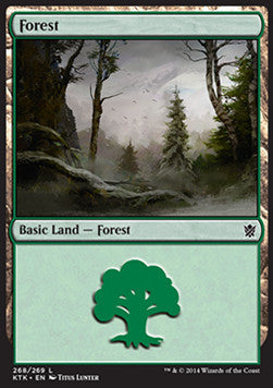 Wald (V.3) KTK-268 Land Excellent Deutsch Foil
