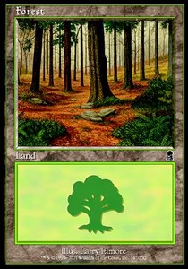 Wald (V.1) ODY-347 Land Good Englisch Foil