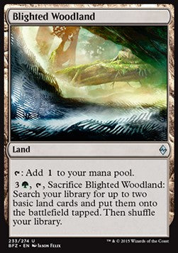 Verheertes Waldland BFZ-233 Uncommon Light Played Deutsch Foil