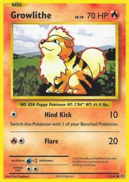 Growlithe EVO-17 Common Excellent Englisch