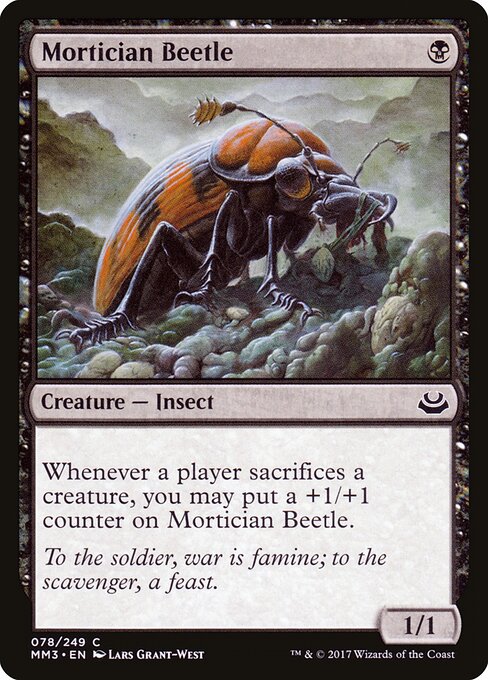Mortician Beetle MM3-78 Common Excellent Englisch