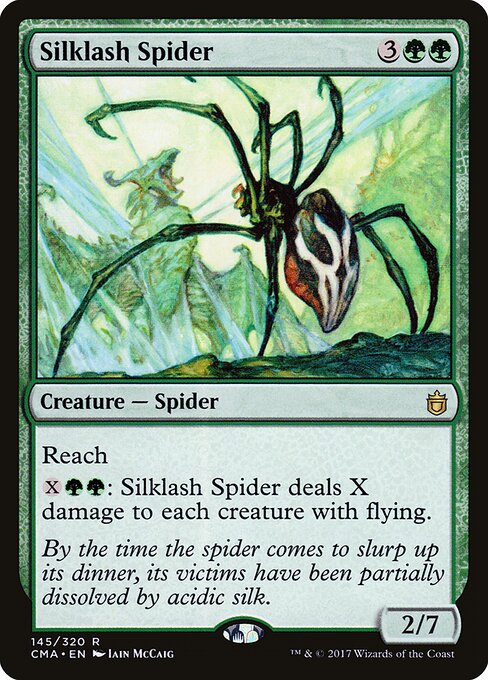 Seidenpeitschen-Spinne CMA-145 Rare Excellent Englisch