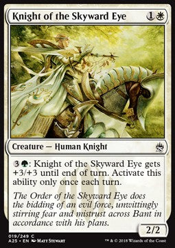 Ritter des Aufblickenden Auges A25-19 Common Excellent Englisch Foil