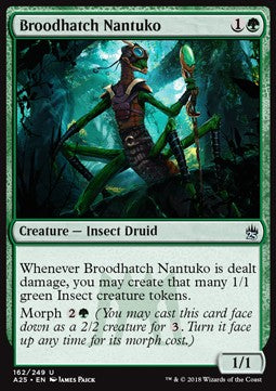 Broodhatch Nantuko A25-162 Uncommon Excellent Englisch