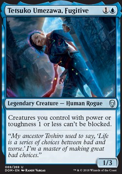 Tetsuko Umezawa, die Flüchtige DOM-69 Uncommon Good Englisch Foil