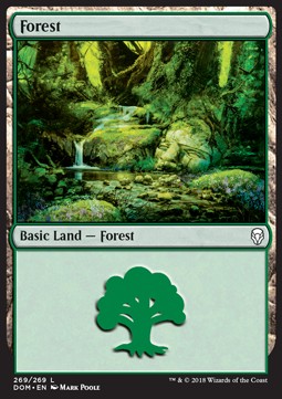 Wald (V.4) DOM-269 Land Excellent Englisch Foil