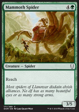 Mammutspinne DOM-171 Common Excellent Englisch Foil