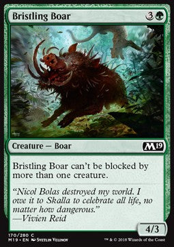 Borstiges Wildschwein M19-170 Common Excellent Deutsch Foil