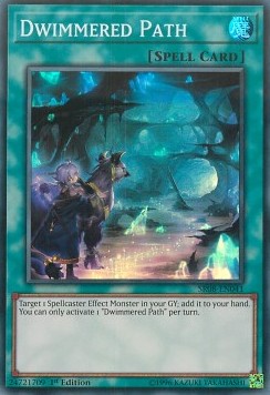 Dwimmered Path SR08-041 Super Rare Excellent Englisch 1. Auflage