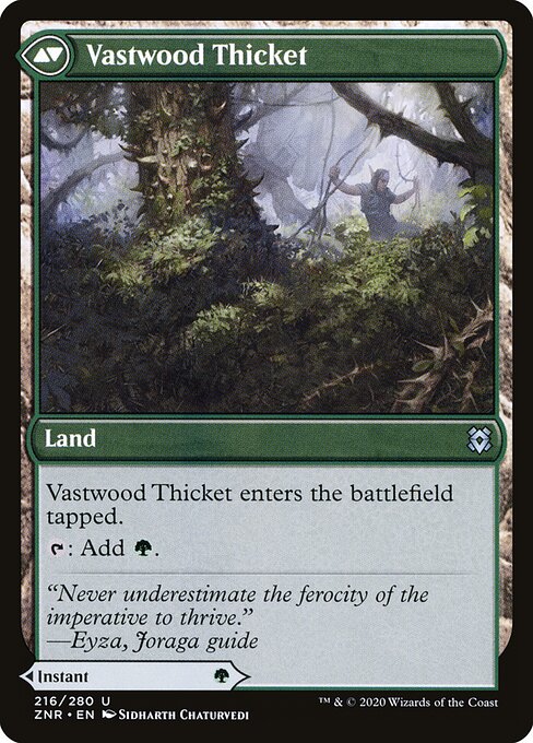 Vastwood Fortification // Vastwood Thicket - Back Face