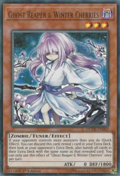 Geisterschnitter und Winterkirschblüten DUDE-002 Ultra Rare Excellent Deutsch 1. Auflage