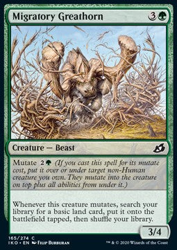 Nomadisierendes Großhorn IKO-165 Common Excellent Englisch Foil