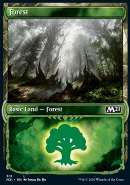 Wald XM21-313 Land Excellent Englisch Foil