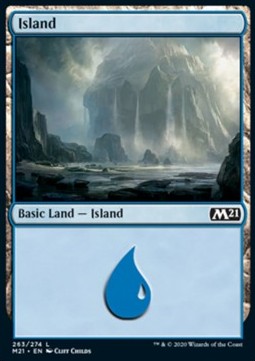 Insel (V.1) M21-263 Land Near Mint Englisch Foil