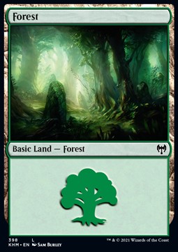 Wald XKHM-398 Land Good Englisch Foil
