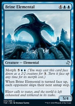 Brine Elemental TSR-55 Uncommon Near Mint Englisch Foil