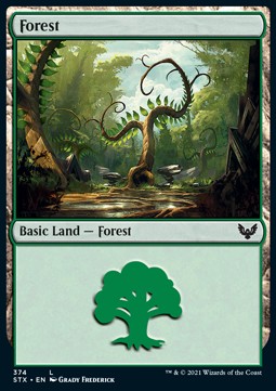 Wald (V.1) XSTX-374 Land Near Mint Deutsch Foil