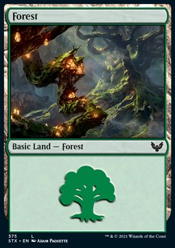 Wald (V.2) XSTX-375 Land Excellent Englisch Foil