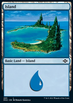 Insel (V.1) XMH2-483 Land Near Mint Englisch Foil