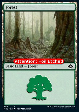 Wald (V.2) XMH2-489 Land Excellent Englisch Foil