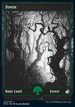 Wald (V.1) MID-276 Land Near Mint Deutsch Foil