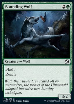 Springwolf MID-170 Common Near Mint Englisch Foil