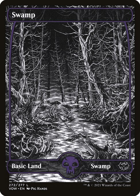Swamp VOW-272 Land Excellent Englisch