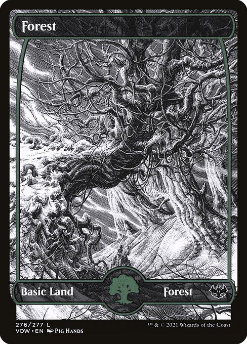 Forest VOW-276 Land Excellent Englisch Foil