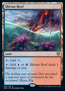 Shivan Reef DMU-255 Rare Excellent Englisch Foil