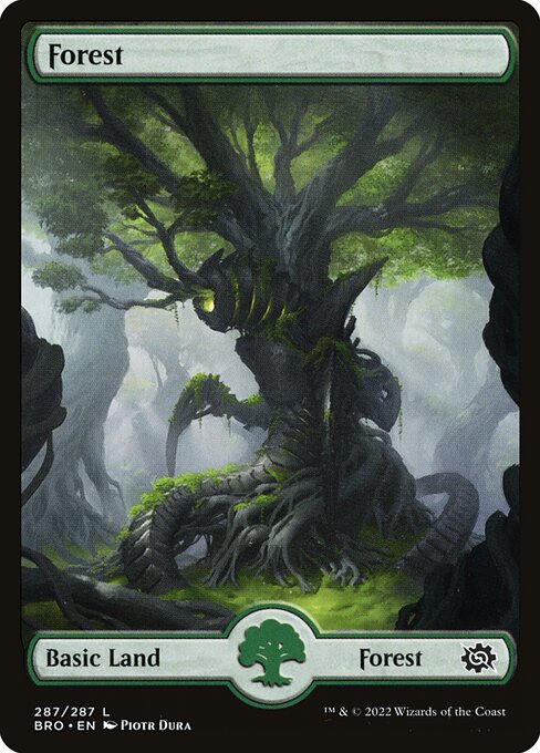 Forest BRO-287 Land Near Mint Englisch