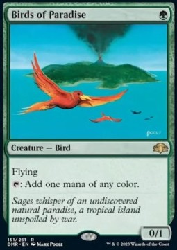 Paradiesvögel DMR-151 Rare Near Mint Englisch Foil