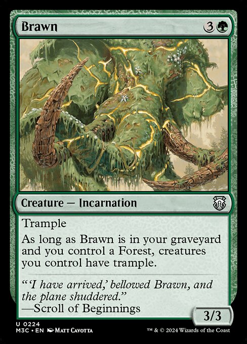 Brawn M3C-224 Uncommon Near Mint Englisch