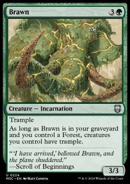 Brawn M3C-224 Uncommon Near Mint Englisch