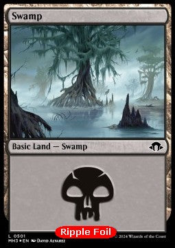 Swamp XMH3-501 Land Excellent Englisch Foil
