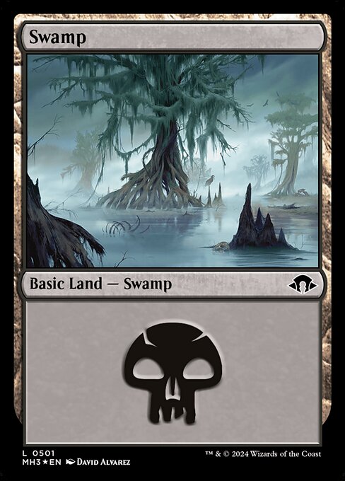 Swamp XMH3-501 Land Excellent Englisch Foil