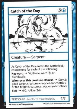 Catch of the Day MB2PT- Special Excellent Englisch