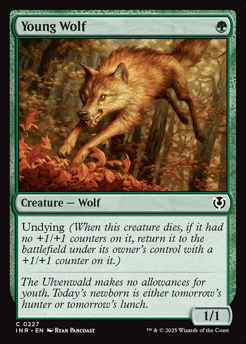 Young Wolf INR-227 Common Near Mint Englisch