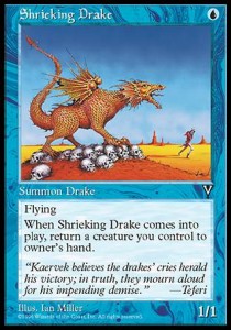 Shrieking Drake VIS- Common Good Englisch