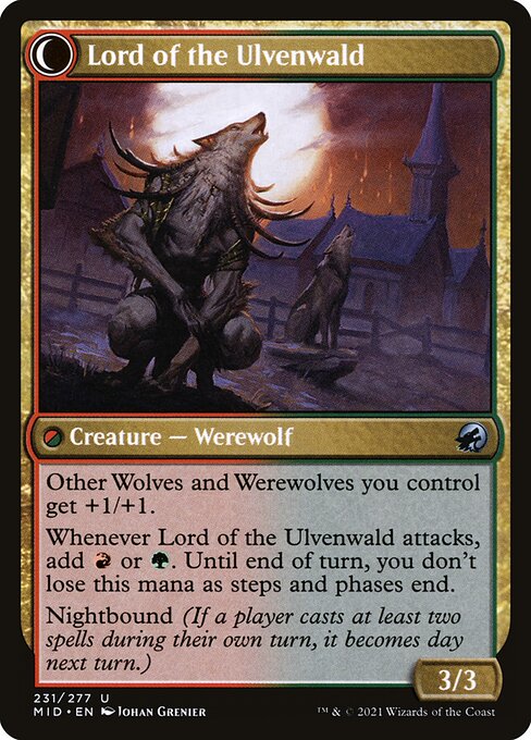 Kessig Naturalist // Lord of the Ulvenwald - Back Face