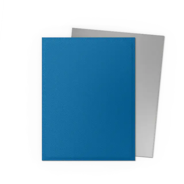 Dragon Shield Standard Size Dual Matte Sleeves - Anniversary Special Edition Blue Silver (100 Sleeves)