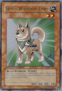 Shiba Warrior Taro YAP1-008 Ultra Rare Poor Englisch