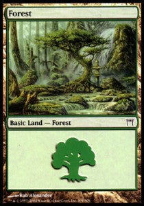 Wald (V.2) CHK-304 Land Excellent Deutsch Foil