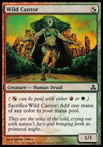 Wilder Chorist GPT-149 Common Light Played Englisch