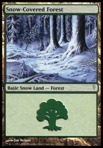 Snow-Covered Forest CSP-155 Land Excellent Englisch