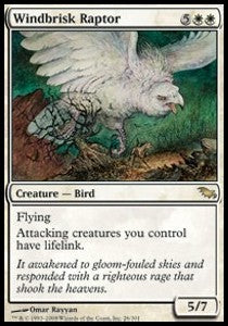 Windbrisk Raptor SHM-26 Rare Excellent Englisch